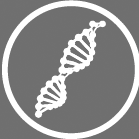 sophisme_genetique.png sophisme_genetique.png